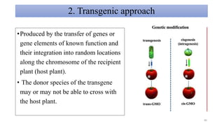 2. Transgenic approach
•Produced by the transfer of genes or
gene elements of known function and
their integration into random locations
along the chromosome of the recipient
plant (host plant).
• The donor species of the transgene
may or may not be able to cross with
the host plant.
40
 