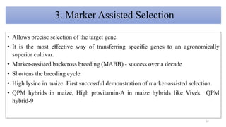 3. Marker Assisted Selection
• Allows precise selection of the target gene.
• It is the most effective way of transferring specific genes to an agronomically
superior cultivar.
• Marker-assisted backcross breeding (MABB) - success over a decade
• Shortens the breeding cycle.
• High lysine in maize: First successful demonstration of marker-assisted selection.
• QPM hybrids in maize, High provitamin-A in maize hybrids like Vivek QPM
hybrid-9
42
 