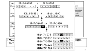 • Molecular marker based breeding scheme to combine the HOLL
seed oil trait with the elevated vitamin E trait
47
 