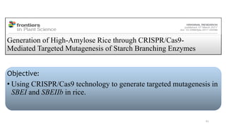 Generation of High-Amylose Rice through CRISPR/Cas9-
Mediated Targeted Mutagenesis of Starch Branching Enzymes
Objective:
• Using CRISPR/Cas9 technology to generate targeted mutagenesis in
SBEI and SBEIIb in rice.
61
 