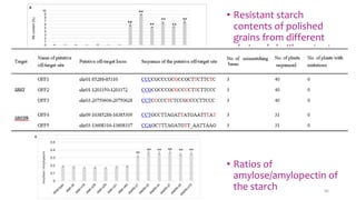 • Resistant starch
contents of polished
grains from different
sbeI and sbeIIb mutant
mutant lines.
• Amylose contents
• Ratios of
amylose/amylopectin of
the starch 66
 