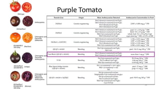 Purple Tomato
69
 