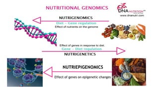 NUTRIEPIGENOMICS
Effect of genes on epigenetic changes
7
 