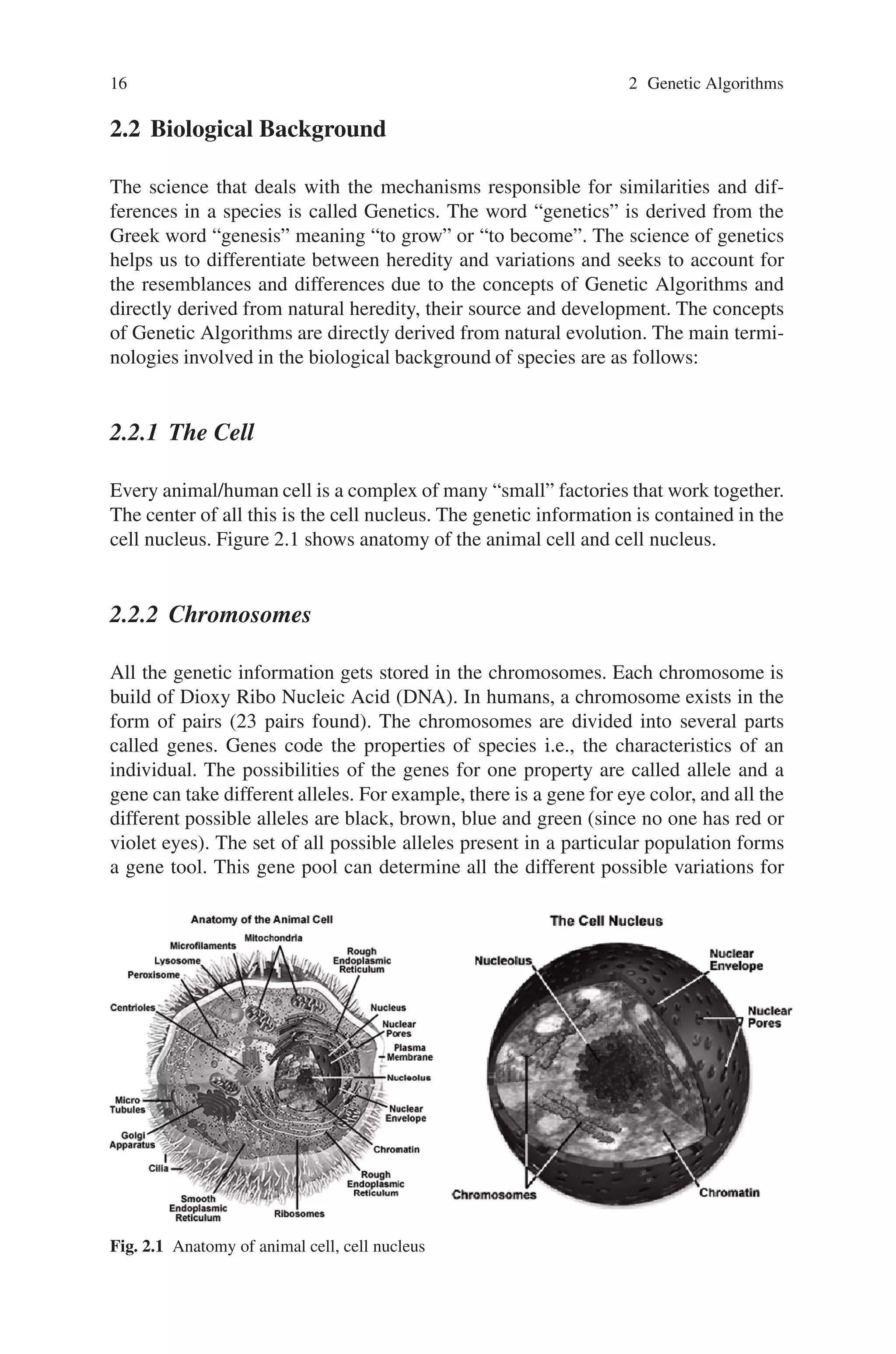 16 2 Genetic Algorithms
2.2 Biological Background
The science that deals with the mechanisms responsible for similarities and dif-
ferences in a species is called Genetics. The word “genetics” is derived from the
Greek word “genesis” meaning “to grow” or “to become”. The science of genetics
helps us to differentiate between heredity and variations and seeks to account for
the resemblances and differences due to the concepts of Genetic Algorithms and
directly derived from natural heredity, their source and development. The concepts
of Genetic Algorithms are directly derived from natural evolution. The main termi-
nologies involved in the biological background of species are as follows:
2.2.1 The Cell
Every animal/human cell is a complex of many “small” factories that work together.
The center of all this is the cell nucleus. The genetic information is contained in the
cell nucleus. Figure 2.1 shows anatomy of the animal cell and cell nucleus.
2.2.2 Chromosomes
All the genetic information gets stored in the chromosomes. Each chromosome is
build of Dioxy Ribo Nucleic Acid (DNA). In humans, a chromosome exists in the
form of pairs (23 pairs found). The chromosomes are divided into several parts
called genes. Genes code the properties of species i.e., the characteristics of an
individual. The possibilities of the genes for one property are called allele and a
gene can take different alleles. For example, there is a gene for eye color, and all the
different possible alleles are black, brown, blue and green (since no one has red or
violet eyes). The set of all possible alleles present in a particular population forms
a gene tool. This gene pool can determine all the different possible variations for
Fig. 2.1 Anatomy of animal cell, cell nucleus
 