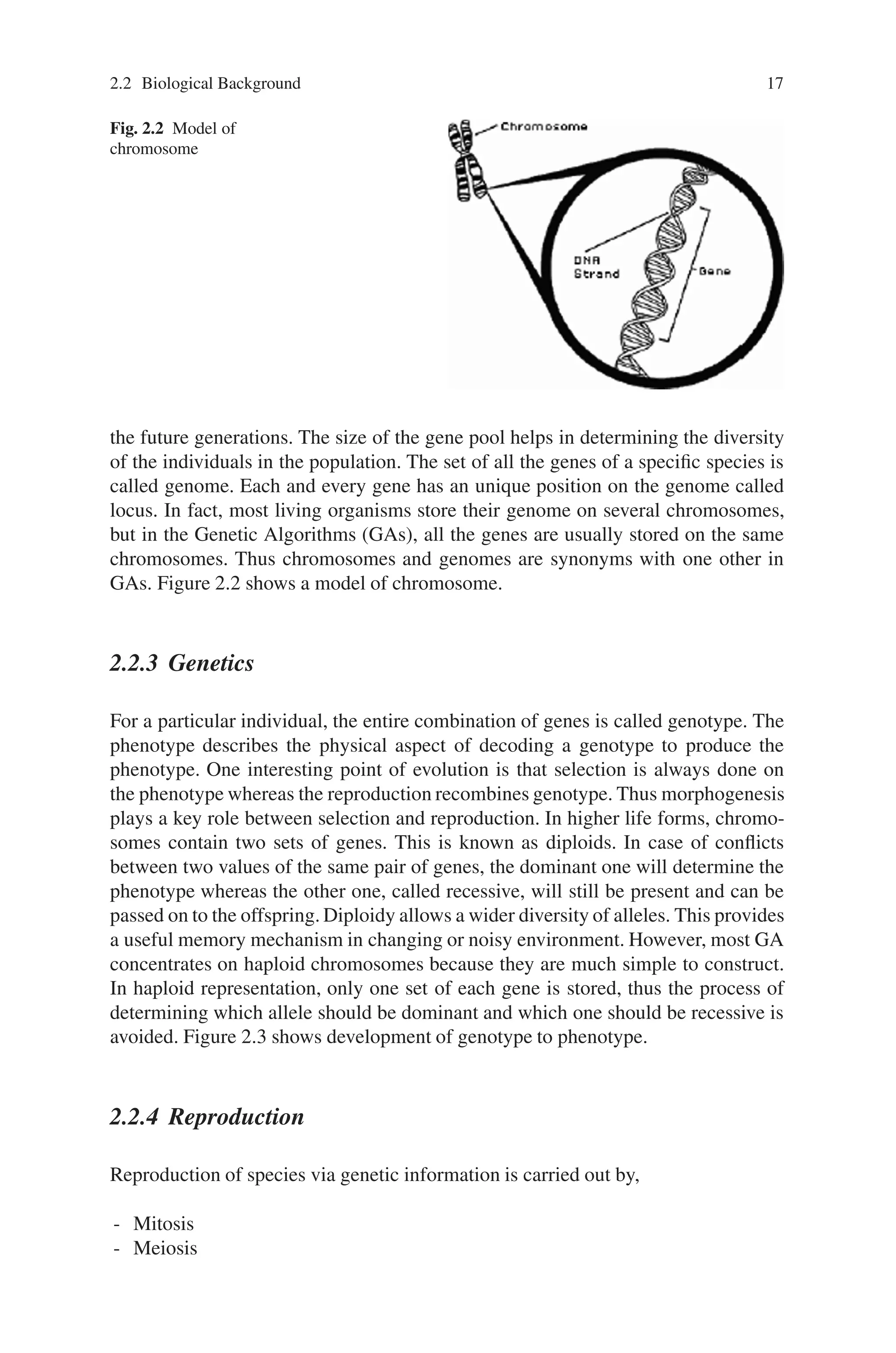 2.2 Biological Background 17
Fig. 2.2 Model of
chromosome
the future generations. The size of the gene pool helps in determining the diversity
of the individuals in the population. The set of all the genes of a specific species is
called genome. Each and every gene has an unique position on the genome called
locus. In fact, most living organisms store their genome on several chromosomes,
but in the Genetic Algorithms (GAs), all the genes are usually stored on the same
chromosomes. Thus chromosomes and genomes are synonyms with one other in
GAs. Figure 2.2 shows a model of chromosome.
2.2.3 Genetics
For a particular individual, the entire combination of genes is called genotype. The
phenotype describes the physical aspect of decoding a genotype to produce the
phenotype. One interesting point of evolution is that selection is always done on
the phenotype whereas the reproduction recombines genotype. Thus morphogenesis
plays a key role between selection and reproduction. In higher life forms, chromo-
somes contain two sets of genes. This is known as diploids. In case of conflicts
between two values of the same pair of genes, the dominant one will determine the
phenotype whereas the other one, called recessive, will still be present and can be
passed on to the offspring. Diploidy allows a wider diversity of alleles. This provides
a useful memory mechanism in changing or noisy environment. However, most GA
concentrates on haploid chromosomes because they are much simple to construct.
In haploid representation, only one set of each gene is stored, thus the process of
determining which allele should be dominant and which one should be recessive is
avoided. Figure 2.3 shows development of genotype to phenotype.
2.2.4 Reproduction
Reproduction of species via genetic information is carried out by,
- Mitosis
- Meiosis
 