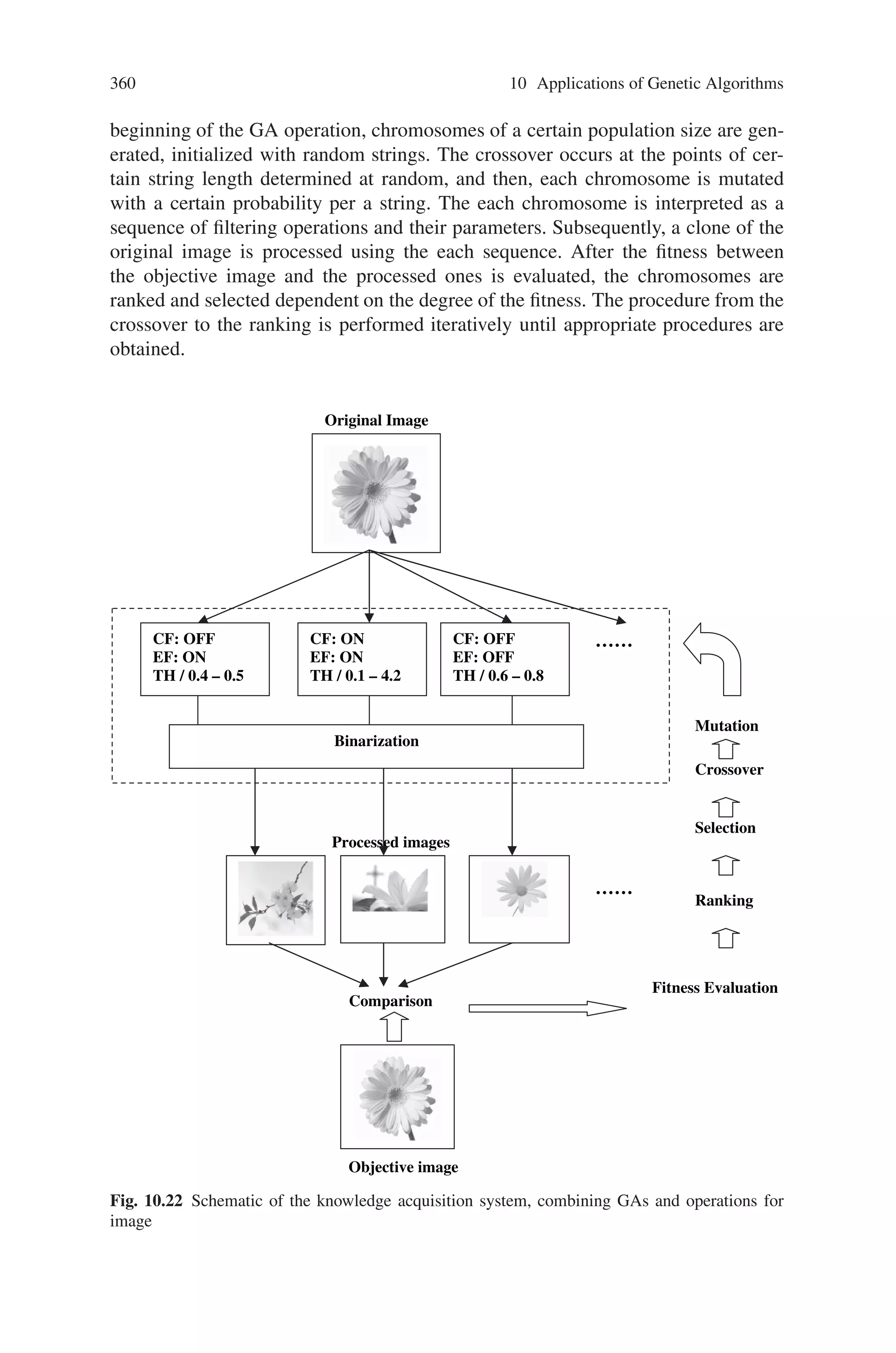 358 10 Applications of Genetic Algorithms
10.6.2.1 Image Segmentation Strategy
Many kinds of efficient filtering algorithms for image segmentation, such as noise
elimination and edge enhancement, have been contrived. Implementing all of them
into our algorithms, however, is unrealistic because the increase in operations in-
vokes a proportional increase in processing time. Based on our empirical knowledge
of the segmentation of plant images, several filtering algorithms commonly used
are selected and implemented in the developed algorithm as shown in Table 10.8.
The thresholding and reversion algorithms are performed on a focused pixel of the
image processed in serial order, and others have spatial mask operators. Figure 10.20
shows the common procedures to segment targets in color images. The procedures
are explained as follows:
1) Color of component areas in the images is averaged using smoothing (SM).
2) Target components are enhanced using thresholding on hue (TH) and, simulta-
neously, the image is entirely converted to a monochrome image.
3) Differentiation (EE) is used when target features outline components.
4) Binarization (TB) is performed for the entire monochrome image.
5) Reversion (RV) on binarized pixels is occasionally effective to enhance the com-
ponents.
6) Fusion operations, expansion (EF) and contraction (CF), allow a reduction in
noise, and occasionally, is performed repeatedly.
After these procedures are carried out, the image processed has been converted
to a binarized image with target components defined. In the algorithm, we have
adopted not the RGB color model, but the HSI model, because the latter is efficient
for the segmentation of plants in fields. All operations are performed after each
pixel value is converted from RGB to HSI. The smoothing algorithm is a median
operator with a 3∗3 mask of pixels, and it is applied only for the hue of the pixels.
The thresholding has two different operators; one operates upon the hue and another
upon the brightness of pixels. These operations substitute null for all bits of a pixel
when the pixel value occurs within a range defined by minimum and maximum
values. When the value is out of the range, they substitute unity for all bits of the
pixel. For edge enhancement of components in images, a Sobel operator with a
Table 10.8 Filtering algorithms used as phenotypes
 