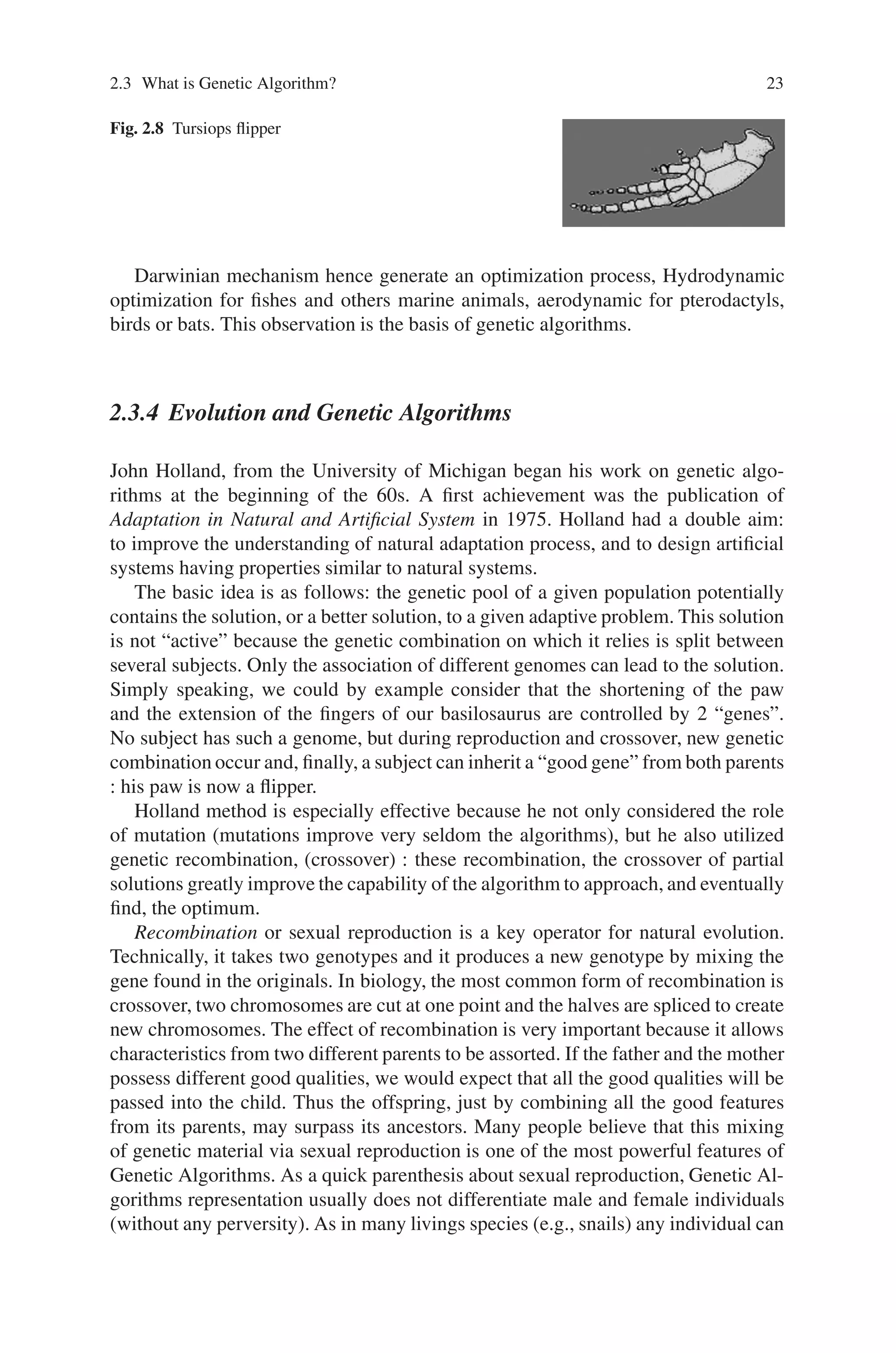 2.3 What is Genetic Algorithm? 23
Fig. 2.8 Tursiops flipper
Darwinian mechanism hence generate an optimization process, Hydrodynamic
optimization for fishes and others marine animals, aerodynamic for pterodactyls,
birds or bats. This observation is the basis of genetic algorithms.
2.3.4 Evolution and Genetic Algorithms
John Holland, from the University of Michigan began his work on genetic algo-
rithms at the beginning of the 60s. A first achievement was the publication of
Adaptation in Natural and Artificial System in 1975. Holland had a double aim:
to improve the understanding of natural adaptation process, and to design artificial
systems having properties similar to natural systems.
The basic idea is as follows: the genetic pool of a given population potentially
contains the solution, or a better solution, to a given adaptive problem. This solution
is not “active” because the genetic combination on which it relies is split between
several subjects. Only the association of different genomes can lead to the solution.
Simply speaking, we could by example consider that the shortening of the paw
and the extension of the fingers of our basilosaurus are controlled by 2 “genes”.
No subject has such a genome, but during reproduction and crossover, new genetic
combination occur and, finally, a subject can inherit a “good gene” from both parents
: his paw is now a flipper.
Holland method is especially effective because he not only considered the role
of mutation (mutations improve very seldom the algorithms), but he also utilized
genetic recombination, (crossover) : these recombination, the crossover of partial
solutions greatly improve the capability of the algorithm to approach, and eventually
find, the optimum.
Recombination or sexual reproduction is a key operator for natural evolution.
Technically, it takes two genotypes and it produces a new genotype by mixing the
gene found in the originals. In biology, the most common form of recombination is
crossover, two chromosomes are cut at one point and the halves are spliced to create
new chromosomes. The effect of recombination is very important because it allows
characteristics from two different parents to be assorted. If the father and the mother
possess different good qualities, we would expect that all the good qualities will be
passed into the child. Thus the offspring, just by combining all the good features
from its parents, may surpass its ancestors. Many people believe that this mixing
of genetic material via sexual reproduction is one of the most powerful features of
Genetic Algorithms. As a quick parenthesis about sexual reproduction, Genetic Al-
gorithms representation usually does not differentiate male and female individuals
(without any perversity). As in many livings species (e.g., snails) any individual can
 