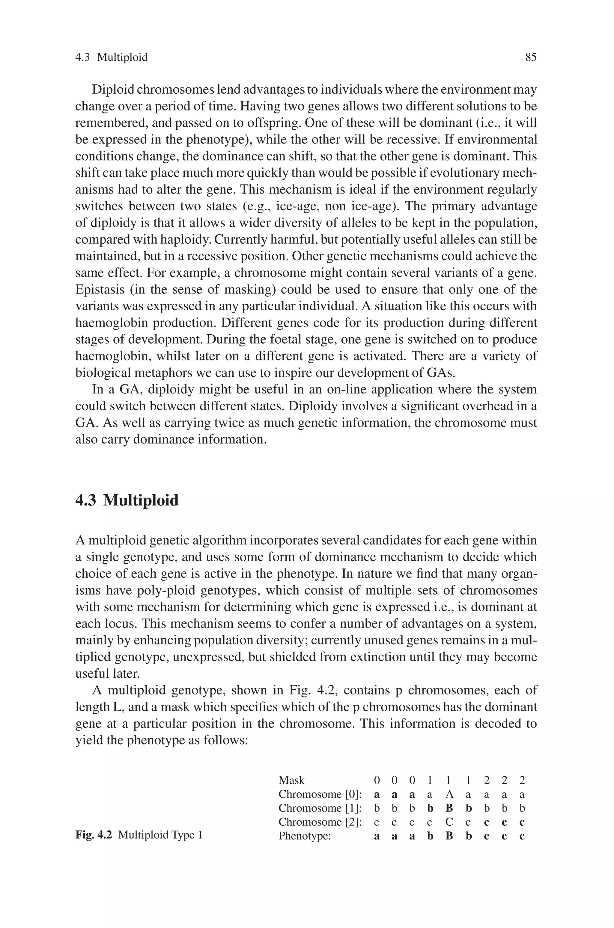 4.3 Multiploid 85
Diploid chromosomes lend advantages to individuals where the environment may
change over a period of time. Having two genes allows two different solutions to be
remembered, and passed on to offspring. One of these will be dominant (i.e., it will
be expressed in the phenotype), while the other will be recessive. If environmental
conditions change, the dominance can shift, so that the other gene is dominant. This
shift can take place much more quickly than would be possible if evolutionary mech-
anisms had to alter the gene. This mechanism is ideal if the environment regularly
switches between two states (e.g., ice-age, non ice-age). The primary advantage
of diploidy is that it allows a wider diversity of alleles to be kept in the population,
compared with haploidy. Currently harmful, but potentially useful alleles can still be
maintained, but in a recessive position. Other genetic mechanisms could achieve the
same effect. For example, a chromosome might contain several variants of a gene.
Epistasis (in the sense of masking) could be used to ensure that only one of the
variants was expressed in any particular individual. A situation like this occurs with
haemoglobin production. Different genes code for its production during different
stages of development. During the foetal stage, one gene is switched on to produce
haemoglobin, whilst later on a different gene is activated. There are a variety of
biological metaphors we can use to inspire our development of GAs.
In a GA, diploidy might be useful in an on-line application where the system
could switch between different states. Diploidy involves a significant overhead in a
GA. As well as carrying twice as much genetic information, the chromosome must
also carry dominance information.
4.3 Multiploid
A multiploid genetic algorithm incorporates several candidates for each gene within
a single genotype, and uses some form of dominance mechanism to decide which
choice of each gene is active in the phenotype. In nature we find that many organ-
isms have poly-ploid genotypes, which consist of multiple sets of chromosomes
with some mechanism for determining which gene is expressed i.e., is dominant at
each locus. This mechanism seems to confer a number of advantages on a system,
mainly by enhancing population diversity; currently unused genes remains in a mul-
tiplied genotype, unexpressed, but shielded from extinction until they may become
useful later.
A multiploid genotype, shown in Fig. 4.2, contains p chromosomes, each of
length L, and a mask which specifies which of the p chromosomes has the dominant
gene at a particular position in the chromosome. This information is decoded to
yield the phenotype as follows:
Fig. 4.2 Multiploid Type 1
Mask 0 0 0 1 1 1 2 2 2
Chromosome [0]: a a a a A a a a a
Chromosome [1]: b b b b B b b b b
Chromosome [2]: c c c c C c c c c
Phenotype: a a a b B b c c c
 