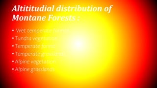 vegetation social presentation