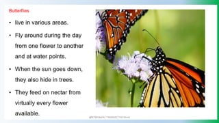 @PETEROKION 778001502/ 758795415
 