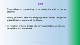 Ctd
•
•
•
i) Insects have three main body parts, namely: the head, thorax, and
abdomen.
ii) They have three pairs of walking legs on the thorax. One pair of
walking legs per segment of the thorax.
iii) They have a thorax divided into three segments i.e. prothorax,
mesothorax and metathorax.
@PETEROKION 778001502/ 758795415
 