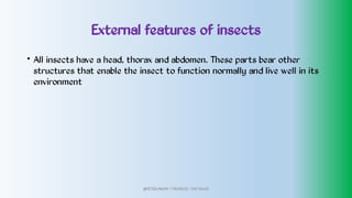 External features of insects
• All insects have a head, thorax and abdomen. These parts bear other
structures that enable the insect to function normally and live well in its
environment
@PETEROKION 778001502/ 758795415
 