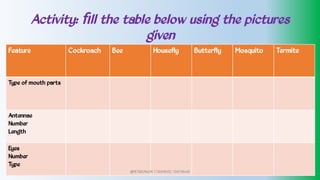 Activity: ﬁll the table below using the pictures
given
Feature Cockroach Bee Housefly Butterfly Mosquito Termite
Type of mouth parts
Antennae
Number
Length
Eyes
Number
Type
@PETEROKION 778001502/ 758795415
 