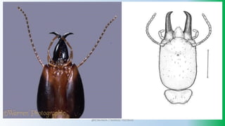 @PETEROKION 778001502/ 758795415
 