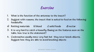 Exercise
1.
2.
a)
3.
4.
What is the function of the antennae to the insect?
Suggest with reasons, the insect that is suited to feed on the following
foodstuffs:
Rotting materials b) blood c) solid foods d) nectar
It is very hard to catch a housefly. Basing on the features seen on the
table, how true is the statement?
Cockroaches usually move very fast but they never knock objects.
Suggest how they are able to avoid knocking objects
@PETEROKION 778001502/ 758795415
 