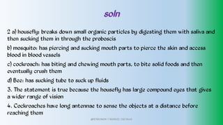 soln
2 a) housefly: breaks down small organic particles by digesting them with saliva and
then sucking them in through the proboscis
b) mosquito: has piercing and sucking mouth parts to pierce the skin and access
blood in blood vessels
c) cockroach: has biting and chewing mouth parts, to bite solid foods and then
eventually crush them
d) Bee: has sucking tube to suck up fluids
3. The statement is true because the housefly has large compound eyes that gives
a wider range of vision
4. Cockroaches have long antennae to sense the objects at a distance before
reaching them
@PETEROKION 778001502/ 758795415
 