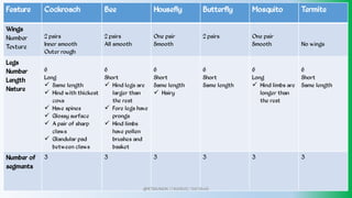 Feature Cockroach Bee Housefly Butterfly Mosquito Termite
Wings
Number
Texture
2 pairs
Inner smooth
Outer rough
2 pairs
All smooth
One pair
Smooth
2 pairs One pair
Smooth No wings
Legs
Number
Length
Nature
6
Long
Same length
Hind with thickest
coxa
Have spines
Glossy surface
A pair of sharp
claws
Glandular pad
between claws






6
Short
Hind legs are
larger than
the rest
Fore legs have
prongs
Hind limbs
have pollen
brushes and
basket



6
Short
Same length
Hairy

6
Short
Same length
6
Long
Hind limbs are
longer than
the rest

6
Short
Same length
Number of
segments
3 3 3 3 3 3
@PETEROKION 778001502/ 758795415
 
