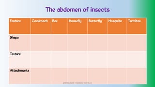 The abdomen of insects
Feature Cockroach Bee Housefly Butterfly Mosquito Termites
Shape
Texture
Attachments
@PETEROKION 778001502/ 758795415
 