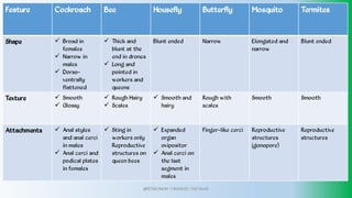 Feature Cockroach Bee Housefly Butterfly Mosquito Termites
Shape Broad in
females
Narrow in
males
Dorso-
ventrally
flattened



Thick and
blunt at the
end in drones
Long and
pointed in
workers and
queens


Blunt ended Narrow Elongated and
narrow
Blunt ended
Texture Smooth
Glossy


Rough Hairy
Scales


Smooth and
hairy
 Rough with
scales
Smooth Smooth
Attachments Anal styles
and anal cerci
in males
Anal cerci and
podical plates
in females


Sting in
workers only
Reproductive
structures on
queen bees
 Expanded
organ
ovipositor
Anal cerci on
the last
segment in
males


Finger-like cerci Reproductive
structures
(gonopore)
Reproductive
structures
@PETEROKION 778001502/ 758795415
 
