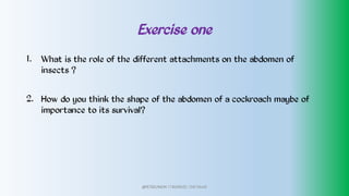 Exercise one
1.
2.
What is the role of the different attachments on the abdomen of
insects ?
How do you think the shape of the abdomen of a cockroach maybe of
importance to its survival?
@PETEROKION 778001502/ 758795415
 