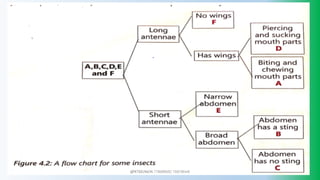 @PETEROKION 778001502/ 758795415
 