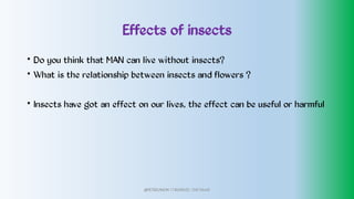 Effects of insects
•
•
•
Do you think that MAN can live without insects?
What is the relationship between insects and flowers ?
Insects have got an effect on our lives, the effect can be useful or harmful
@PETEROKION 778001502/ 758795415
 