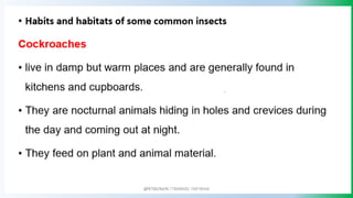 @PETEROKION 778001502/ 758795415
 