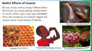 @PETEROKION 778001502/ 758795415
 