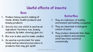 Useful effects of insects
1.
2.
3.
4.
Bees
Produce honey used in making of
foods, drinks, health products and
beauty products
Secrete bee wax which is used as an
ingredient I furniture wax, beauty
products, lip balm, chewing gum etc.
Bee wax is also used to make candles
Its used as a protectant for some
foods and as natural preservative in
products that may get spoilt
1.
2.
3.
Butterflies
They are indicators of healthy
environment and healthy ecosystem
They are important in biological
control of pests
They produce chemicals that chase
away predators and parasites
which have been exploited
economically
@PETEROKION 778001502/ 758795415
 
