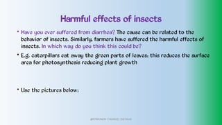 Harmful effects of insects
•
•
•
Have you ever suffered from diarrhea? The cause can be related to the
behavior of insects. Similarly, farmers have suffered the harmful effects of
insects. In which way do you think this could be?
E.g. caterpillars eat away the green parts of leaves; this reduces the surface
area for photosynthesis reducing plant growth
Use the pictures below;
@PETEROKION 778001502/ 758795415
 