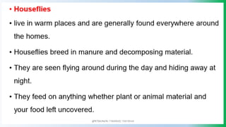 @PETEROKION 778001502/ 758795415
 