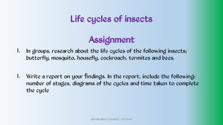 Life cycles of insects
1.
1.
Assignment
In groups, research about the life cycles of the following insects;
butterfly, mosquito, housefly, cockroach, termites and bees.
Write a report on your ﬁndings. In the report, include the following:
number of stages, diagrams of the cycles and time taken to complete
the cycle
@PETEROKION 778001502/ 758795415
 