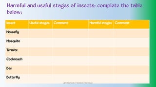 Harmful and useful stages of insects; complete the table
below;
Insect Useful stages Comment Harmful stages Comment
Housefly
Mosquito
Termite
Cockroach
Bee
Butterfly
@PETEROKION 778001502/ 758795415
 