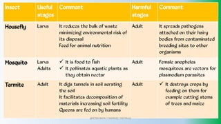 Insect Useful
stages
Comment Harmful
stages
Comment
Housefly Larva It reduces the bulk of waste
minimizing environmental risk of
its disposal
Feed for animal nutrition
Adult It spreads pathogens
attached on their hairy
bodies from contaminated
breeding sites to other
organisms
Mosquito Larva
Adults
It is food to ﬁsh
It pollinates aquatic plants as
they obtain nectar


Adult Female anopheles
mosquitoes are vectors for
plasmodium parasites
Termite Adult It digs tunnels in soil aerating
the soil
It facilitates decomposition of
materials increasing soil fertility
Queens are fed on by humans
Adult It destroys crops by
feeding on them for
example cutting stems
of trees and maize

@PETEROKION 778001502/ 758795415
 