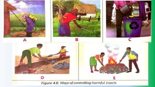 @PETEROKION 778001502/ 758795415
 