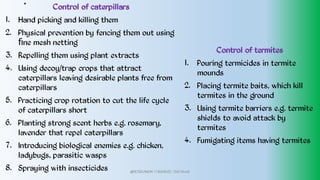 .
1.
2.
3.
4.
5.
6.
7.
8.
Control of caterpillars
Hand picking and killing them
Physical prevention by fencing them out using
ﬁne mesh netting
Repelling them using plant extracts
Using decoy/trap crops that attract
caterpillars leaving desirable plants free from
caterpillars
Practicing crop rotation to cut the life cycle
of caterpillars short
Planting strong scent herbs e.g. rosemary,
lavender that repel caterpillars
Introducing biological enemies e.g. chicken,
ladybugs, parasitic wasps
Spraying with insecticides
1.
2.
3.
4.
Control of termites
Pouring termicides in termite
mounds
Placing termite baits, which kill
termites in the ground
Using termite barriers e.g. termite
shields to avoid attack by
termites
Fumigating items having termites
@PETEROKION 778001502/ 758795415
 