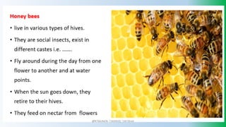 @PETEROKION 778001502/ 758795415
 