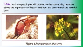 Task: write a speech you will present to the community members
about the importance of insects and how one can control the harmful
ones
@PETEROKION 778001502/ 758795415
 