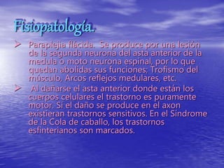 Fisiopatología.
 Paraplejia flácida. Se produce por una lesión
de la segunda neurona del asta anterior de la
medula o moto neurona espinal, por lo que
quedan abolidas sus funciones; Trofismo del
músculo, Arcos reflejos medulares, etc.
 Al dañarse el asta anterior donde están los
cuerpos celulares el trastorno es puramente
motor. Si el daño se produce en el axon
existieran trastornos sensitivos. En el Síndrome
de la Cola de caballo, los trastornos
esfinterianos son marcados.
 