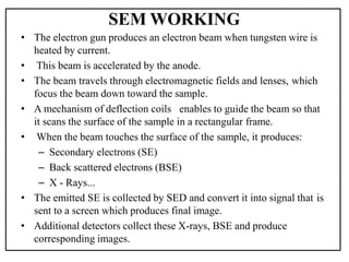 SEM WORKING
• The electron gun produces an electron beam when tungsten wire is
heated by current.
• This beam is accelerated by the anode.
• The beam travels through electromagnetic fields and lenses, which
focus the beam down toward the sample.
• A mechanism of deflection coils enables to guide the beam so that
it scans the surface of the sample in a rectangular frame.
• When the beam touches the surface of the sample, it produces:
– Secondary electrons (SE)
– Back scattered electrons (BSE)
– X - Rays...
• The emitted SE is collected by SED and convert it into signal that is
sent to a screen which produces final image.
• Additional detectors collect these X-rays, BSE and produce
corresponding images.
 