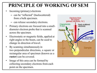 PRINCIPLE OF WORKING OFSEM
• Incoming (primary) electrons
– can be “reflected” (backscattered)
from a bulk specimen.
– can release secondary electrons.
• Primary electrons are focused into a small-
diameter electron probe that is scanned
across the specimen.
• Electrostatic or magnetic fields, applied at
right angles to the beam, can be used to
change its direction of travel.
• By scanning simultaneously in
two perpendicular directions, a square or
rectangular area of specimen (known as a
raster) can be covered.
• Image of this area can be formed by
collecting secondary electrons from each
point on the specimen.
 