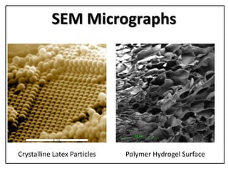 SEM Micrographs
Crystalline Latex Particles Polymer Hydrogel Surface
 