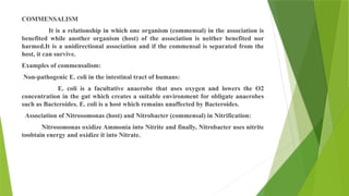 COMMENSALISM
It is a relationship in which one organism (commensal) in the association is
benefited while another organism (host) of the association is neither benefited nor
harmed.It is a unidirectional association and if the commensal is separated from the
host, it can survive.
Examples of commensalism:
Non-pathogenic E. coli in the intestinal tract of humans:
E. coli is a facultative anaerobe that uses oxygen and lowers the O2
concentration in the gut which creates a suitable environment for obligate anaerobes
such as Bacteroides. E. coli is a host which remains unaffected by Bacteroides.
Association of Nitrosomonas (host) and Nitrobacter (commensal) in Nitrification:
Nitrosomonas oxidize Ammonia into Nitrite and finally, Nitrobacter uses nitrite
toobtain energy and oxidize it into Nitrate.
 