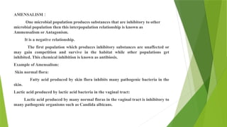AMENSALISM :
One microbial population produces substances that are inhibitory to other
microbial population then this interpopulation relationship is known as
Ammensalism or Antagonism.
It is a negative relationship.
The first population which produces inhibitory substances are unaffected or
may gain competition and survive in the habitat while other populations get
inhibited. This chemical inhibition is known as antibiosis.
Example of Amensalism:
Skin normal flora:
Fatty acid produced by skin flora inhibits many pathogenic bacteria in the
skin.
Lactic acid produced by lactic acid bacteria in the vaginal tract:
Lactic acid produced by many normal floras in the vaginal tract is inhibitory to
many pathogenic organisms such as Candida albicans.
 