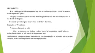 PREDATION :
It is a widespread phenomenon when one organism (predator) engulf or attack
other organisms (prey).
The prey can be larger or smaller than the predator and this normally results in
the death of the prey.
Normally predator-prey interaction is of short duration.
Examples of Predation:
Protozoan-bacteria in soil:
Many protozoans can feed on various bacterial population which helps to
maintain the count of soil bacteria at optimum level
Bdellovibrio, Vamparococcus, Daptobacter, etc are examples of predator bacteria that
can feed on a wide range of the bacterial population.
 