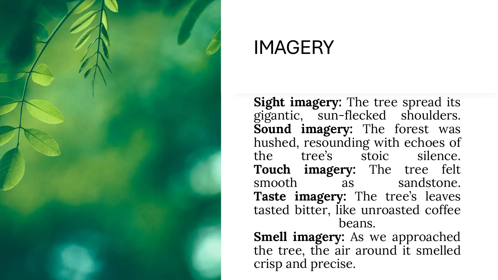 IMAGERY
Sight imagery: The tree spread its
gigantic, sun-flecked shoulders.
Sound imagery: The forest was
hushed, resounding with echoes of
the tree’s stoic silence.
Touch imagery: The tree felt
smooth as sandstone.
Taste imagery: The tree’s leaves
tasted bitter, like unroasted coffee
beans.
Smell imagery: As we approached
the tree, the air around it smelled
crisp and precise.
 