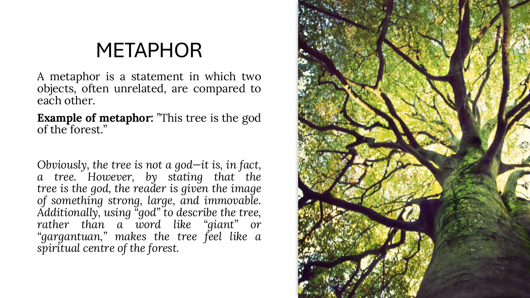 METAPHOR
A metaphor is a statement in which two
objects, often unrelated, are compared to
each other.
Example of metaphor: ”This tree is the god
of the forest.”
Obviously, the tree is not a god—it is, in fact,
a tree. However, by stating that the
tree is the god, the reader is given the image
of something strong, large, and immovable.
Additionally, using “god” to describe the tree,
rather than a word like “giant” or
“gargantuan,” makes the tree feel like a
spiritual centre of the forest.
 