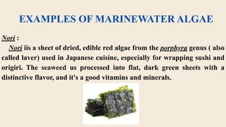 Laver Algae DISTRIBUTION OF ALGAE ( Fresh water, Marine Water and Brackish Water ...