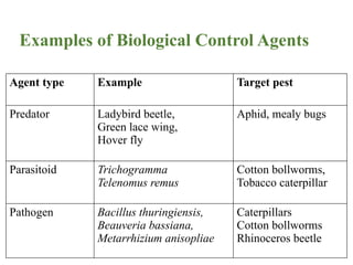 Pathogenic Bug Examples Scope and Importance of Biological Control in Pest Management | PPTX