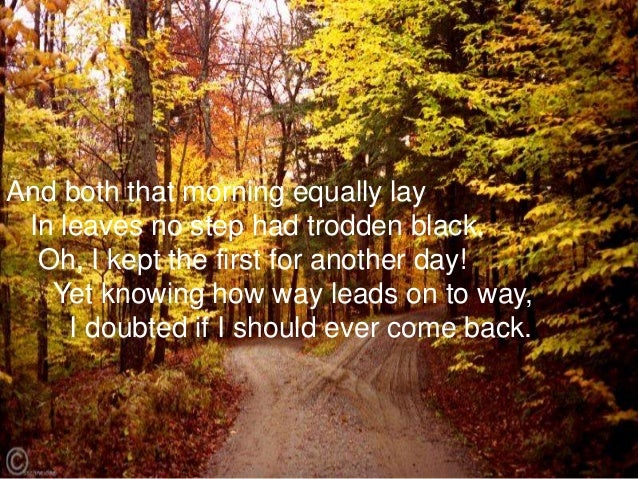 the road not taken literary devices the road not taken literary devices